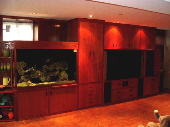 built in aquarium, entertainment unit and storage